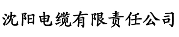 MD0020赵佳美国风旗袍电缆厂logo